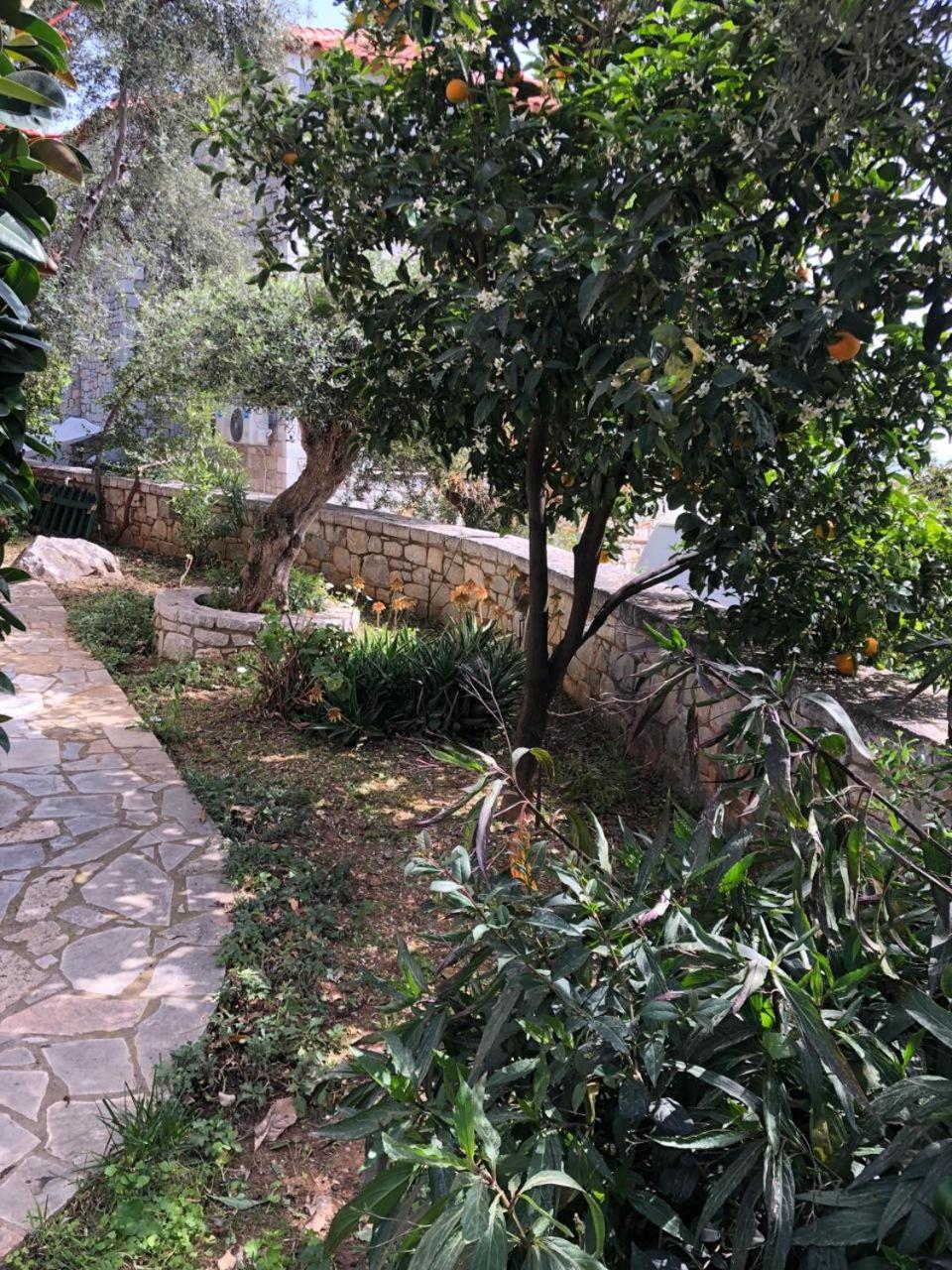 Villa Amanda Neokhorion  Exterior photo